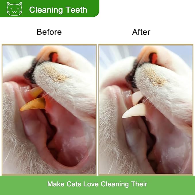Cat Toy (6 PCS) Silver Rattan Stick Catnip Stick Cat Training Toy Cat Chew Stick Indoor Cat Interactive Toy Cat Tooth Cleaning Toy Cat Wooden Tooth Stick Cat Game - PAWPICO