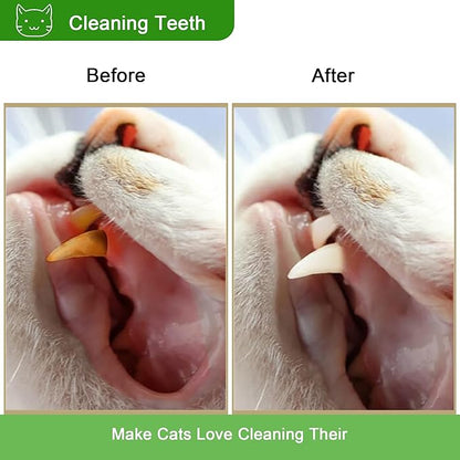 Cat Toy (6 PCS) Silver Rattan Stick Catnip Stick Cat Training Toy Cat Chew Stick Indoor Cat Interactive Toy Cat Tooth Cleaning Toy Cat Wooden Tooth Stick Cat Game - PAWPICO