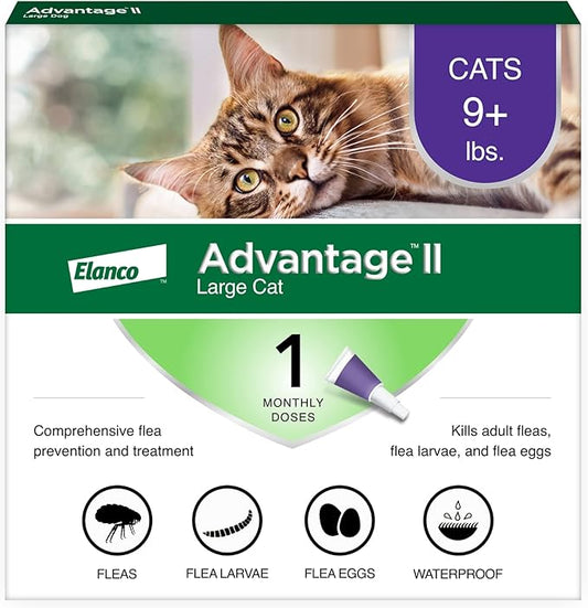 Advantage II Large Cat Vet-Recommended Flea Treatment & Prevention | Cats Over 9 lbs. | 1-Month Supply Advantage
