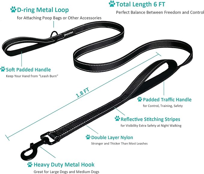Heavy Duty Dog Leash - 2 Handles by Padded Traffic Handle for Extra Control, 6foot Long - Perfect for Medium to Large Dogs (Purple, 6 ft) JEWOSTER