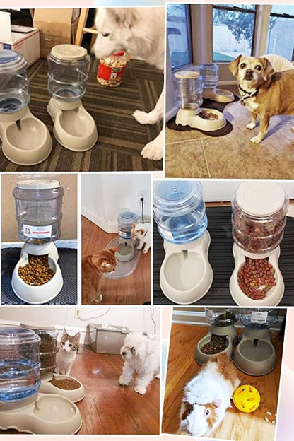 Pet Feeding Solution Automatic Cat & Dog Cafe Feeder and Water Dispenser in Set with Food Scoop - Ito Rocky 6-Meal Automatic Food Dispenser for Small/Middle Puppy and Kitten - PAWPICO