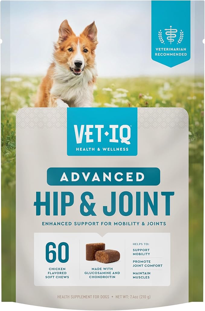 VetIQ Advanced Hip & Joint Chews For Dogs, 60 Count, Chicken Flavored Supplements Made with Glucosamine, Omega 3’s, Chondroitin, MSM, and Green Lipped Mussel, Increases Mobility and Maintains Muscles VetIQHealthSupplements