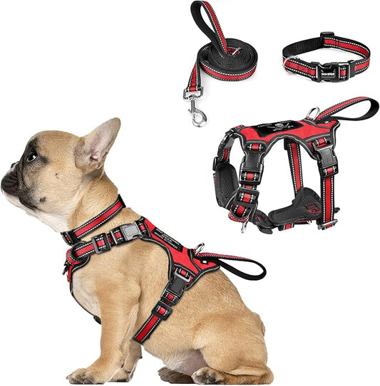 WINSEE Pet Harness Collar and Leash Set, All-in-one Reflective Dog Harness No Pull with Adjustable Buckles for Puppies, Small, Medium, Large, and Extra-Large Dogs (Small, Red) - PAWPICO