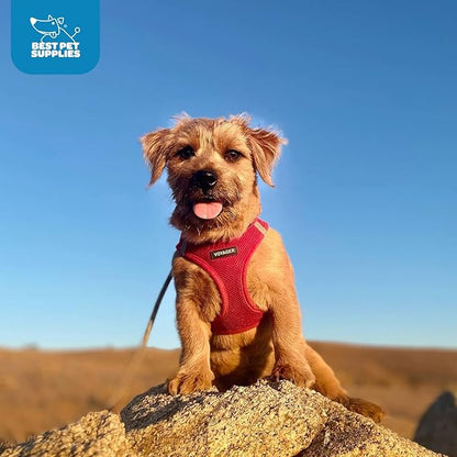 Voyager Step-In Air Dog Harness - All Weather Mesh, Reflective, No Pull Harness for Small, Medium Dogs, Cats - Secure with Hook & Loop Fastener, Buckle, Double D-Rings - Red, XXXS BestPetSuppliesLLC