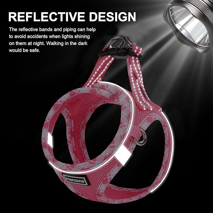 Mercano Soft Mesh Dog Harness and Leash Set, No-Chock Step-in Reflective Breathable Lightweight Easy Walk Vest Harnesses with Safety Buckle for Small Medium Dogs, Cats (M, Fuchsia) PAWPICO