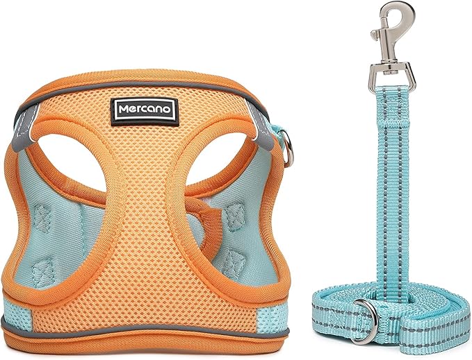 Mercano Soft Mesh Dog Harness and Leash Set, No-Chock Step-in Reflective Breathable Lightweight Easy Walk Escape Proof Vest Harnesses with Safety Buckle for Small Medium Dogs, Cats (XXS, Orange Blue) PAWPICO