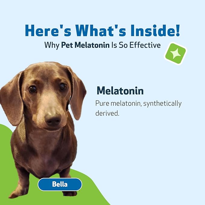 Pet Wellbeing Pet Melatonin for Dogs - Supports Adrenal Health, Cortisol Balance, Helps Maintain Normal Sleep Patterns - Veterinarian-Formulated Liquid Supplement 4 fl oz (118 ml) PetWellbeing