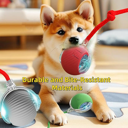 Interactive Dog Cat Toys Ball, Electric Rolling Ball Dog Toy, Automatic Moving Bouncing Toy Ball with Lights, Dog Toys to Keep Them Busy, Peppy Pet Ball for Bored Indoor Cats & Dogs (Red) - PAWPICO