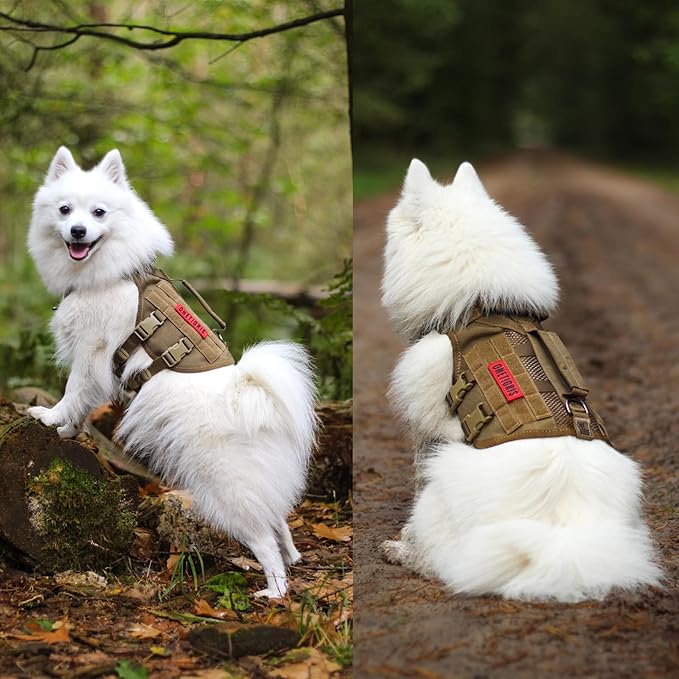 OneTigris No Pull Dog Harness for Small Dog, Mesh Design Breathable Military Dog Molle Vests with Handles, Service Dog Vest Harness for Walking Hiking Training OneTigris