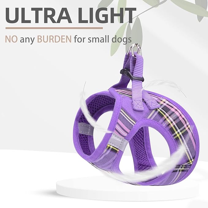 PUPTECK Adjustable Dog Harness Collar and Leash Set Step in No Pull Pet Harness for Small Medium Dogs Puppy and Cats Outdoor Walking Running, Soft Mesh Padded Reflective Vest Harnesses, Purple S PUPTECK