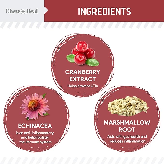 Chew + Heal UTI Treatment Cranberry Chews for Dogs - 240 Soft Chews - Supports Healthy Urinary Tract and Bladder Function - Corrects Imbalances - with Echinacea and Vitamin C ChewHeal