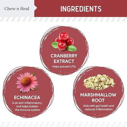 Chew + Heal UTI Treatment Cranberry Chews for Dogs - 240 Soft Chews - Supports Healthy Urinary Tract and Bladder Function - Corrects Imbalances - with Echinacea and Vitamin C ChewHeal