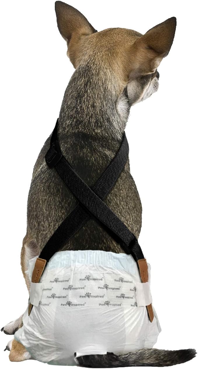 Paw Inspired Dog Diaper Suspenders with Velcro Fasteners | Stretchy Adjustable Suspenders for Female and Male Disposable and Washable Diapers | Fits Small, Medium and Large Size Pets (XS/S, Black) - PAWPICO