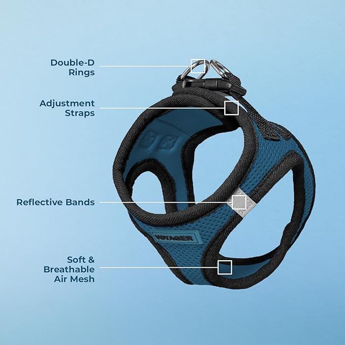 Voyager Step-In Air Dog Harness - All Weather Mesh, Reflective, No Pull Harness for Small, Medium Dogs, Cats - Secure with Hook & Loop Fastener, Buckle, Double D-Rings - Blue/Black Trim, XXS BestPetSuppliesLLC