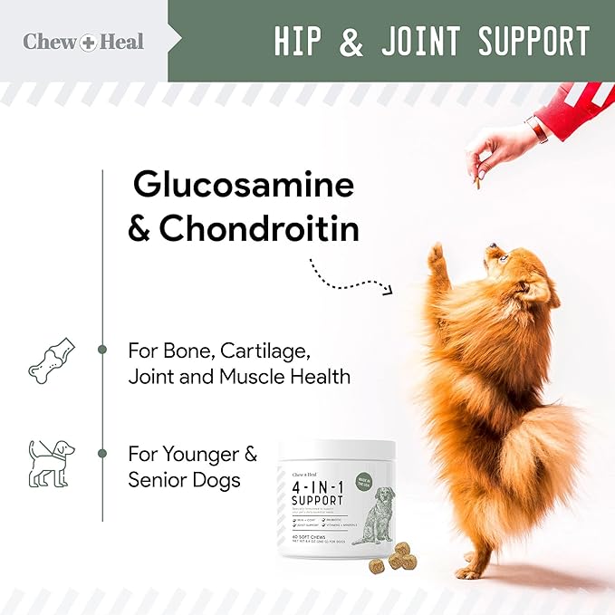 Chew + Heal All in 1 Dog Vitamin, 2PK - 240 Soft Chew Treats - Chewable Multivitamin with Probiotics, Digestive Enzymes, for Skin and Coat, Hip and Joint Support - Made in The USA ChewHeal