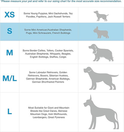 Blue-9 Buckle-Neck Balance Harness, Fully Customizable Fit No-Pull Harness, Ideal for Dog Training and Obedience, Made in The USA, Blue, Small Blue-9