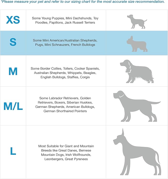 Blue-9 Buckle-Neck Balance Harness, Fully Customizable Fit No-Pull Harness, Ideal for Dog Training and Obedience, Made in The USA, Sky Blue, Small Blue-9