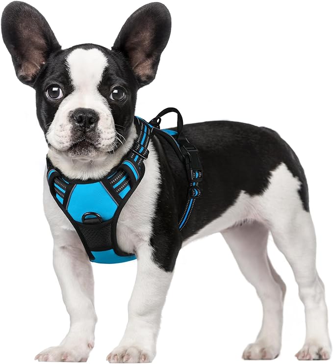 rabbitgoo Dog Harness, No-Pull Pet Harness with 2 Leash Clips, Adjustable Soft Padded Dog Vest, Reflective No-Choke Pet Oxford Vest with Easy Control Handle for Small Dogs, Blue, S - PAWPICO