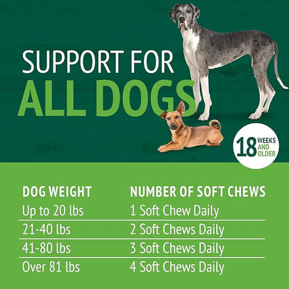 PetNC Natural Care Skin and Coat Soft Chews for Dogs, 60 Count VisitthePetnc