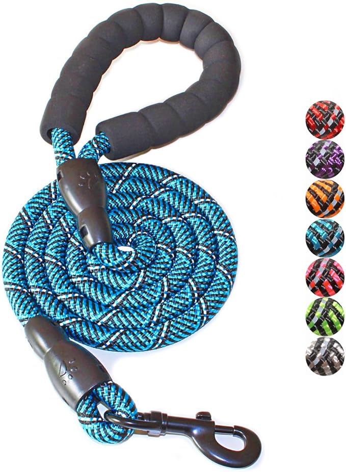 BAAPET 2/4/5/6 FT Dog Leash with Comfortable Padded Handle and Highly Reflective Threads for Small Medium and Large Dogs (5FT-1/2'', Black Blue) BAAPET