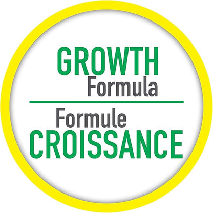 TetraCichlid Floating Cichlid Sticks 5.65 Ounces, Nutritionally Balanced Diet Tetra