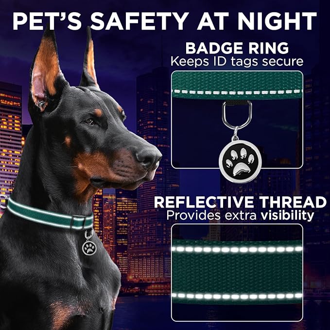 TECEUM Reflective Pet Collar – Dark Emerald Green – XXS – Basic Nylon Dog Collar – Quick Release Buckle – Fits Small, Medium and Large Dogs, Puppies, Cats – ESA & Service Dog Options TECEUM