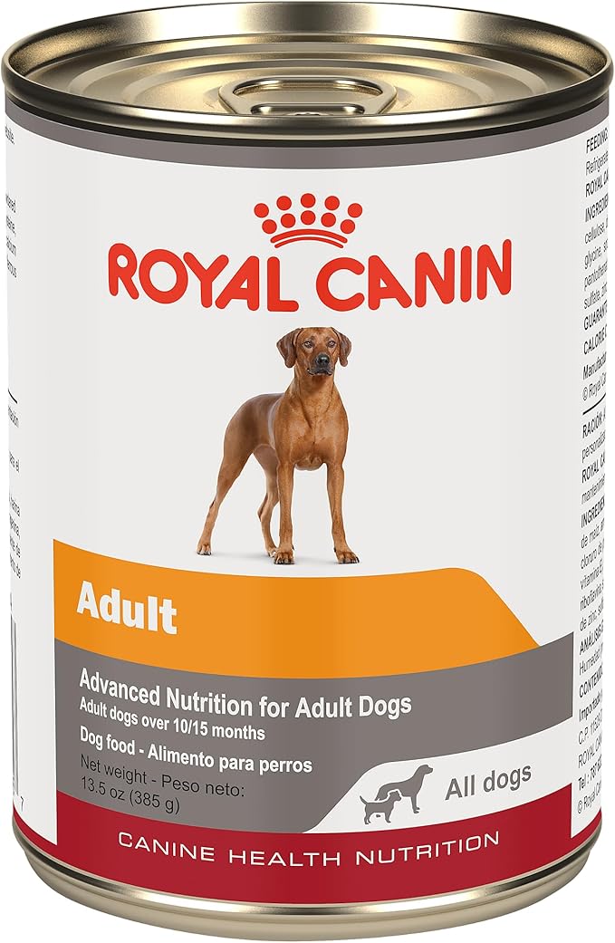 Royal Canin Canine Health Nutrition Adult In Gel Canned Dog Food, 13.5 oz can(Pack of 12) - PAWPICO