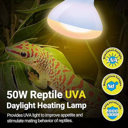 REPTIZOO Reptile Heat Lamp, 2 Pack 50W Daylight Basking Spot Lamp for Reptiles UVA Daylight Heating Lamp Bulb Basking Light for Bearded Dragon, Tortoise, Geckos, Chicken REPTIZOO