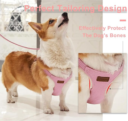 Puppytie No Pull Small Dog Harness with Multifunction Dog Leash,Lightweight Soft Adjustable No Choke Escape Proof Pet Harness Vest Pet Harness Vest,Pink,S - PAWPICO