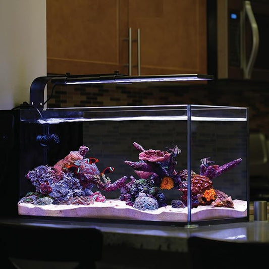 CURRENT USA 48"-60" Inch Orbit Marine LED Saltwater Reef Marine Aquarium Light with Bluetooth App Control | Wireless Lighting & eFlux Wave Pump Control for Fish Tank (4203) Current+USA