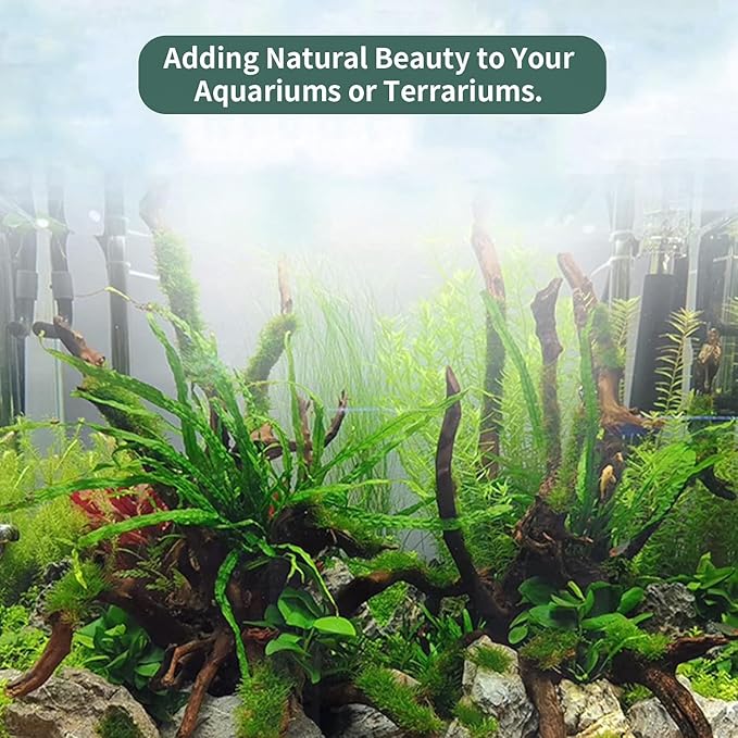 Hamiledyi 24 Pcs Small Driftwood for Aquarium 4"-5" Driftwood Branches Aquarium Decoration Reptiles Reptile Tank Accessories Assorted Size Natural Habitat Decor Wood for Lizad Hamiledyi