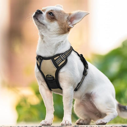 rabbitgoo Dog Harness No Pull with 2 Leash Clips, Adjustable Soft Padded, Reflective Oxford No Choke Pet Vest with Easy Control Handle for Puppy, Beige, XS rabbitgoo