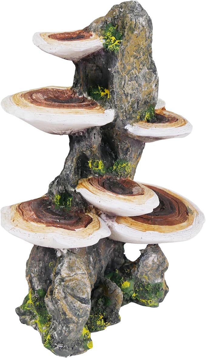 Penn-Plax Deco-Replicas Tree Trunk with Shelf Mushrooms Aquarium Decoration – Safe for Freshwater and Saltwater Fish Tanks – Medium Penn-Plax
