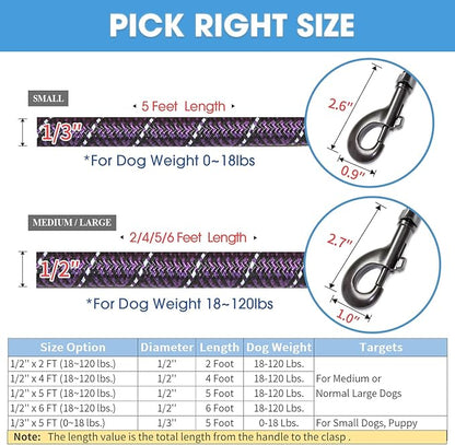 BAAPET 2/4/5/6 FT Dog Leash with Comfortable Padded Handle and Highly Reflective Threads for Small Medium and Large Dogs (5FT-1/2'', Black Purple) - PAWPICO