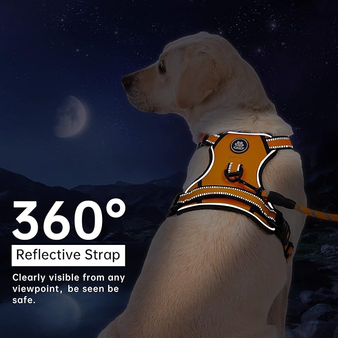 IVY&LANE No Pull Dog Harness for Large Dogs, Dog Vest Harness with Leash, Safety Belt and Storage Strap, Fully Adjustable Harness, 360° Reflective Strip, Soft Handle (Orange, L) IVYLANE