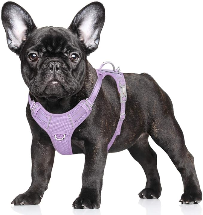 BARKBAY No Pull Dog Harness Large Reflective Dog Harness with Front Clip and Easy Control Handle for Walking Training Running with ID tag Pocket(Violet Purple,S) BARKBAY