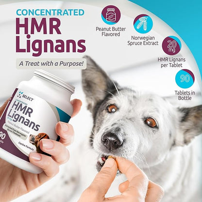 K9 Select HMR Lignans for Dogs - Enhancer for Overall Wellness, Immune Support for Dogs - Norway Spruce Extract Holistic Dog Health - Digestion, & Coat Care - Peanut Butter, 20mg, 90 Tablets LignansForLife