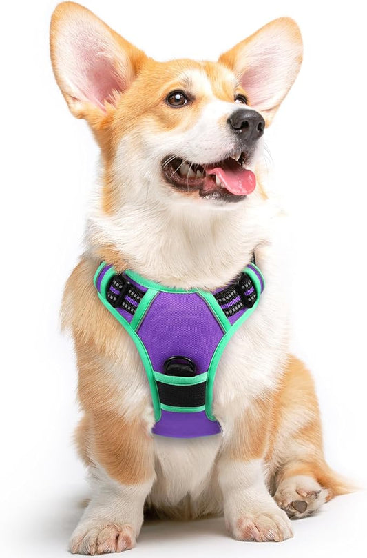Eagloo Dog Harness for Large Dogs, No Pull Service Vest with Reflective Strips and Control Handle, Adjustable and Comfortable for Easy Walking, No Choke Harness with 2 Metal Rings, Purple & Green, M GoExplorewithEagloo