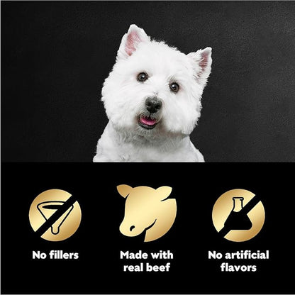 Cesar Filets in Gravy Wet Dog Food Filet Mignon Flavor, 1.76 oz. Mini-Pouch, 20 Pack - PAWPICO