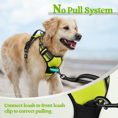 rabbitgoo Dog Harness No Pull with 2 Leash Clips, Adjustable Soft Padded, Reflective Oxford No Choke Pet Vest with Easy Control Handle for Small Dogs, Wild Lime,S rabbitgoo