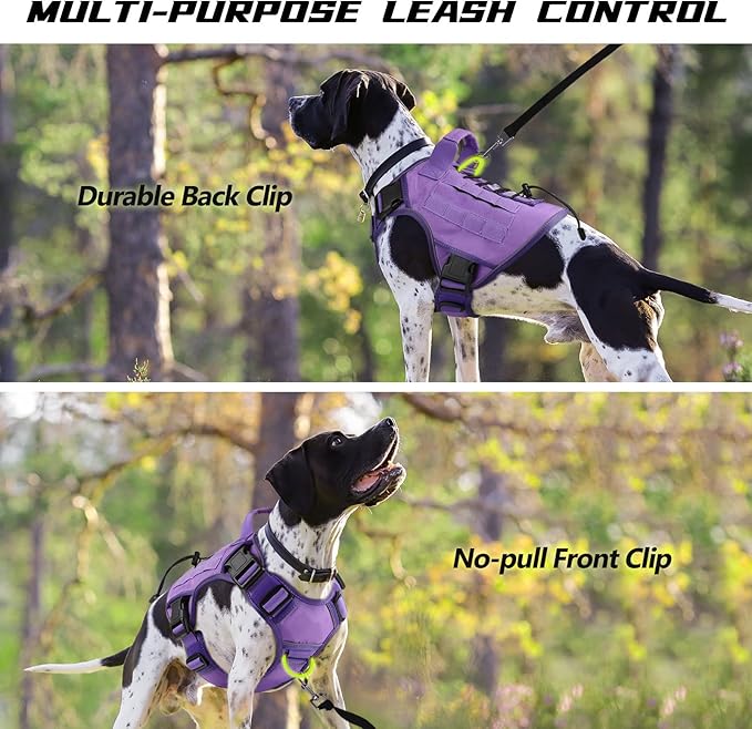 WINGOIN Tactical Dog Harness for Extra Large Dogs, Heavy Duty No Pull Dog Harness with Handle, Adjustable Reflective Military K9 German Shepherd Big Dog Vest for Training, Walking, Purple (XXL) - PAWPICO