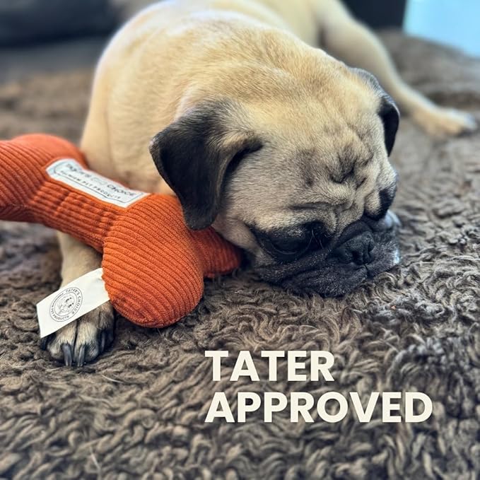 Tater's Choice 40" Dog Bed - Premium Braided Dog Bed with 3 Pack of Plush Bones - Luxurious and Durable Pet Beds with Plush Polyester Filling, Non-Slip Base, Washable Mattress, Charcoal Grey, Large - PAWPICO
