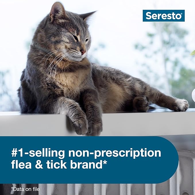 Seresto Cat Vet-Recommended Flea & Tick Treatment & Prevention Collar for Cats | 8 Months Protection Seresto