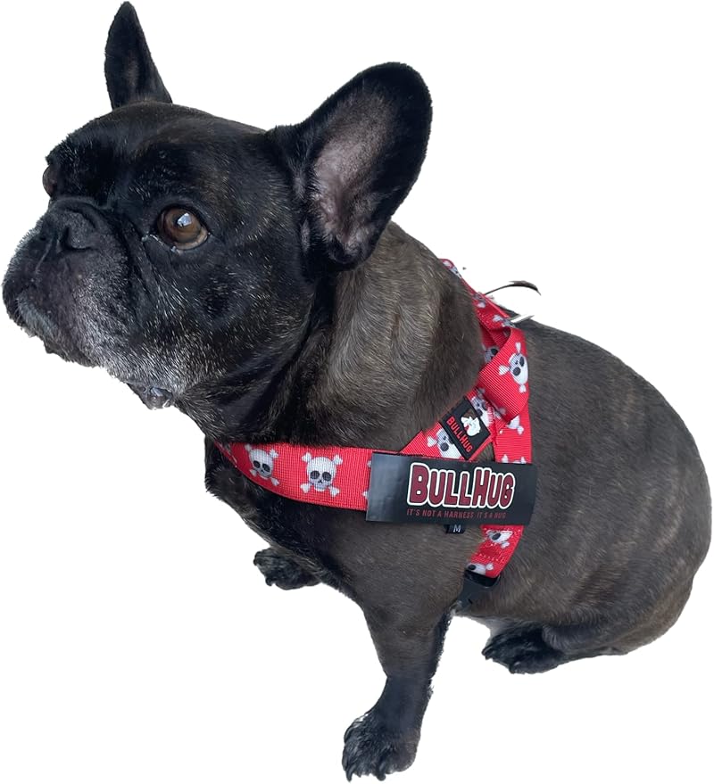 BULLHUG Harness – Made for Larger Chested Dogs Like English Bulldogs, French Bulldogs, Pugs & More. Stops Dogs from Pulling & Choking on Walks (Skull, XL) BULLHUG