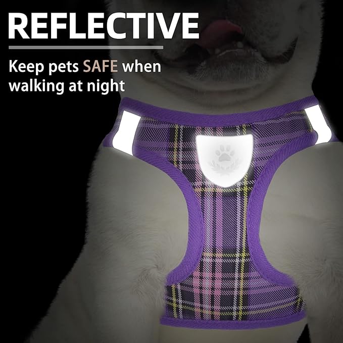 PUPTECK Adjustable Dog Harness Collar and Leash Set Step in No Pull Pet Harness for Small Medium Dogs Puppy and Cats Outdoor Walking Running, Soft Mesh Padded Reflective Vest Harnesses, Purple S PUPTECK