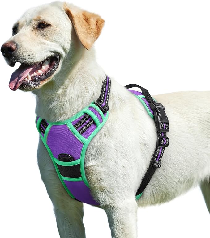 Eagloo Dog Harness for Large Dogs, No Pull Service Vest with Reflective Strips and Control Handle, Adjustable and Comfortable for Easy Walking, No Choke Harness with 2 Metal Rings, Purple & Green, L GoExplorewithEagloo