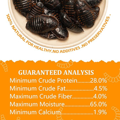 6 Pack Canned Dubia Roaches for Reptiles, Fish, Birds and Small Animals, Dubia Roaches, Healthy High Protein Treat, Reptile Bird Fish Food 7.2 Ounces Total Jadingfarm