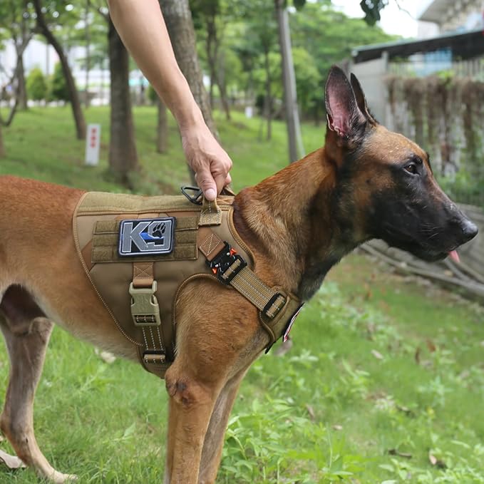 ICEFANG Tactical Dog Harness,Large Size, 2X Metal Buckle,Working Dog MOLLE Vest with Handle,No Pulling Front Leash Clip,Hook and Loop Panel ICEFANGDIRECT