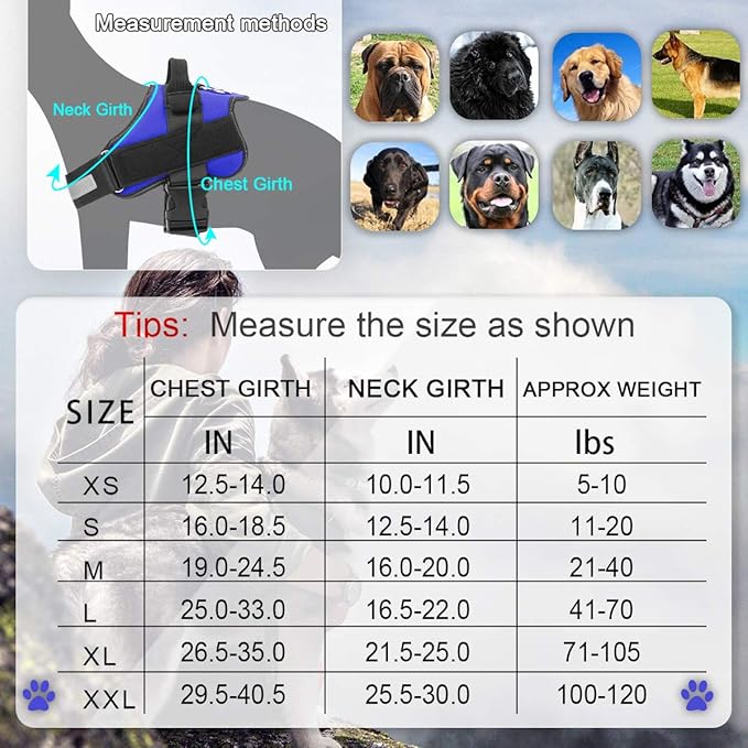 Bolux Dog Harness, No-Pull Reflective Dog Vest, Breathable Adjustable Pet Harness with Handle for Outdoor Walking - No More Pulling, Tugging or Choking (Blue, XXL) Bolux