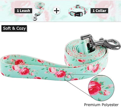 Ihoming Dog Collar and Leash Set for Daily Outdoor Walking Running Training, Floral Spring Design for Medium Boys Girls Dogs Cats Pets, M-Up to 45LBS Ihoming